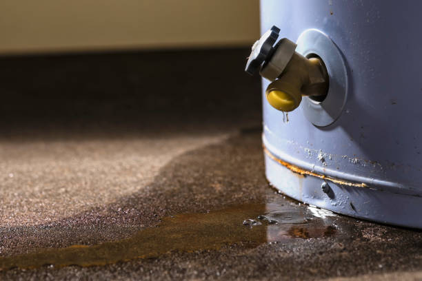 Best Basement water damage restoration  in Baywood Park, CA