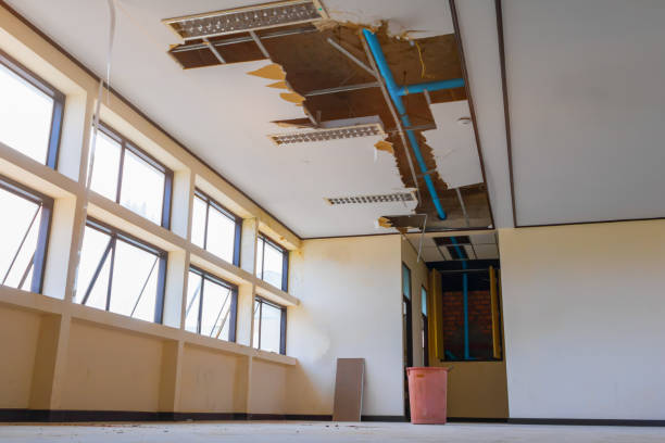 Water damage restoration insurance claims in Baywood Park, CA