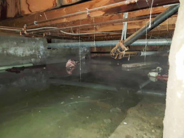 Best Residential water damage restoration  in Baywood Park, CA