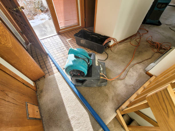 Best Water damage restoration near me  in Baywood Park, CA