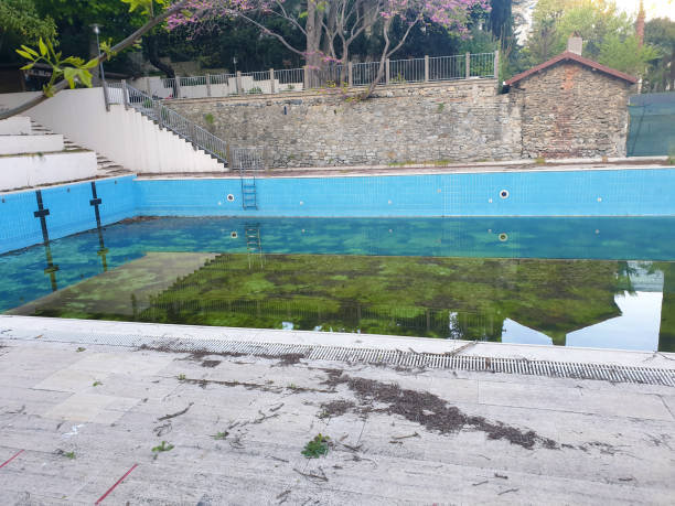 Best Flood restoration services  in Baywood Park, CA