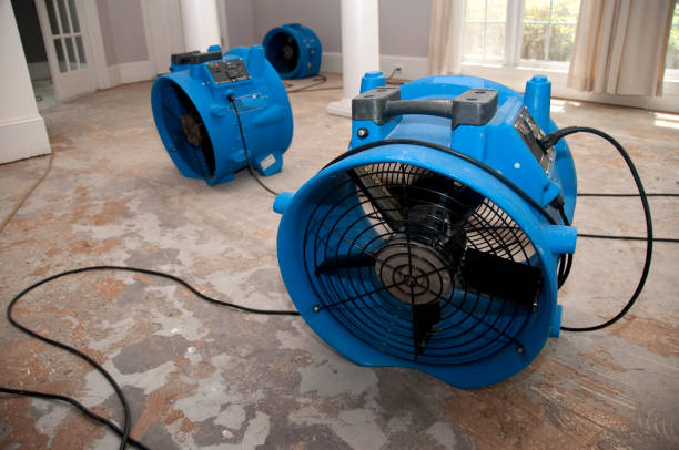 Best Professional water damage repair  in Baywood Park, CA