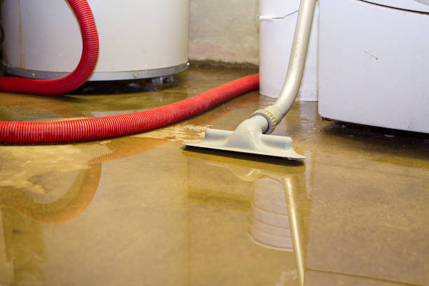 Best 24/7 water damage repair  in Baywood Park, CA