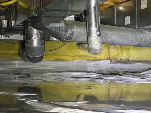 Best Mold removal after water damage  in Baywood Park, CA