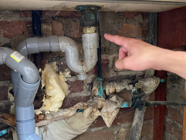 Best Water damage restoration insurance claims  in Baywood Park, CA